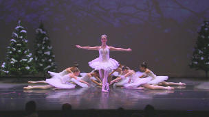 dancer, ballet, live show, video