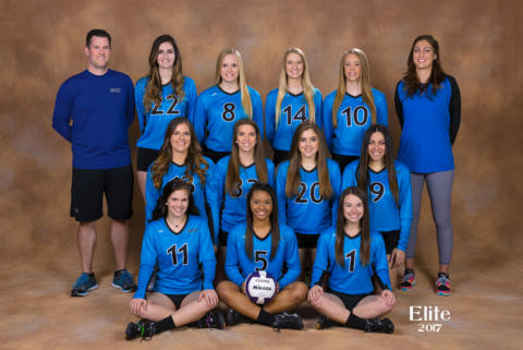 image of volleyball team